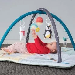 Taf Toys Baby-gym North Pole 4 Season Junior 100 X 100 X 50 Cm 14 Taf Toys Baby-gym North Pole 4 Season Junior 100 X 100 X 50 Cm -babygyms Winkel 550x550 303