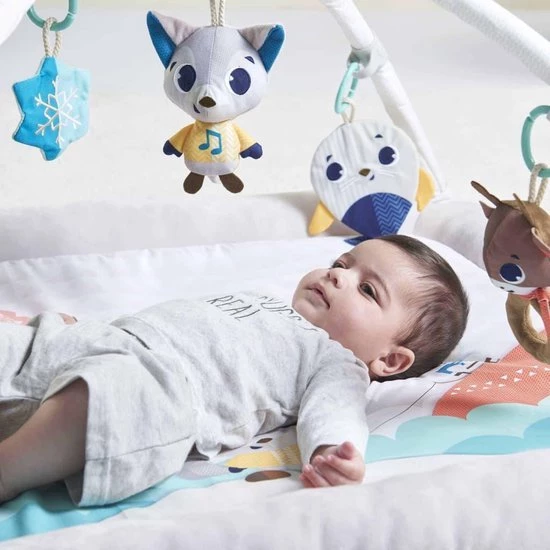 Tiny Love Plush Babygym - Polar Wonders - Noordpool 13 Tiny Love Plush Babygym - Polar Wonders - Noordpool - Afbeelding 13