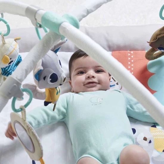 Tiny Love Plush Babygym - Polar Wonders - Noordpool 15 Tiny Love Plush Babygym - Polar Wonders - Noordpool - Afbeelding 15