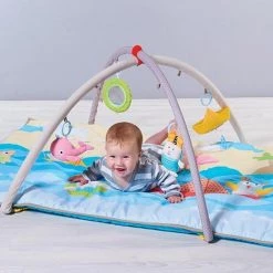 Taf Toys - Seaside Pals Baby Activity Gym– Speelkleed Met Afneembare Bogen In Zee Thema Met Spiegel, Knispergeluidjes En Verschillende Speeltjes. -babygyms Winkel 550x550 365