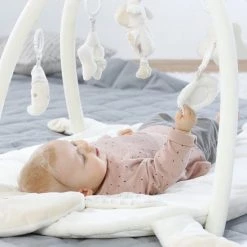 Babygym, Baby Cadeau - Jongen & Meisje, Dierenvriendjes Speelmat, Interactief Speelgoed - Multikleuren. -babygyms Winkel 550x550 417