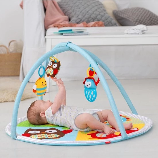 Skip Hop Explore And More Funscape Activity Gym 2 Skip Hop Explore And More Funscape Activity Gym - Afbeelding 2