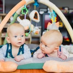 Playgro Snuggle Me Penguin Tummy Time Gym - Babygym Met Buikligkussen - Speelkleed - Speeltapijt -babygyms Winkel 550x550 47