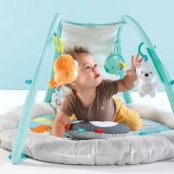 Bright Starts Arctic Glow Light Show Playmat 20 Bright Starts Arctic Glow Light Show Playmat -babygyms Winkel 550x550 485