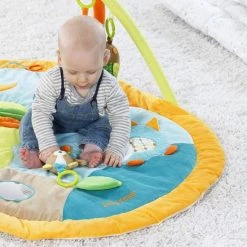 Baby Gym 11 Baby Gym -babygyms Winkel 550x550 556