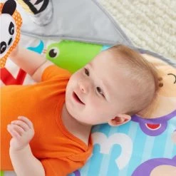 Fisher-Price 2-in-1 Activity Gym -babygyms Winkel 550x550 573