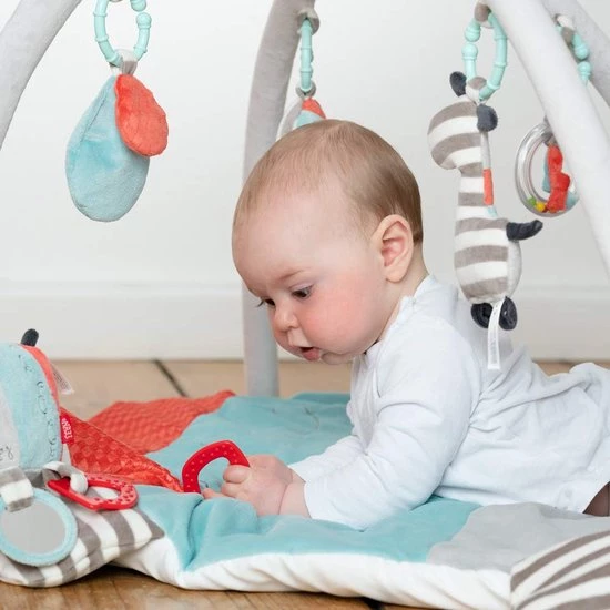 Babygym, Baby Cadeau - Jongen & Meisje, Dierenvriendjes Speelmat, Interactief Speelgoed - Multikleuren. 3 Babygym, Baby Cadeau - Jongen & Meisje, Dierenvriendjes Speelmat, Interactief Speelgoed - Multikleuren. - Afbeelding 3