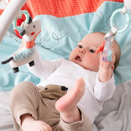 Babygym, Baby Cadeau - Jongen & Meisje, Dierenvriendjes Speelmat, Interactief Speelgoed - Multikleuren. 4 Babygym, Baby Cadeau - Jongen & Meisje, Dierenvriendjes Speelmat, Interactief Speelgoed - Multikleuren. - Afbeelding 4