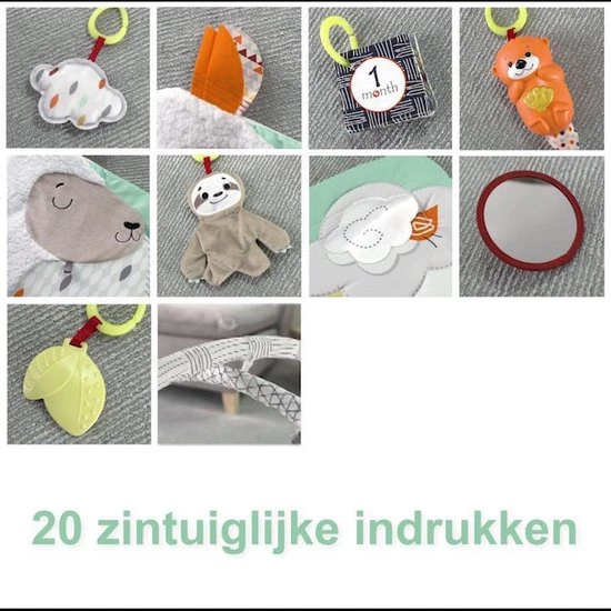 Fisher-Price Baby Gym - Speelmat Met 21 Zintuigelijke Ontdekkingsspeeltjes 2 Fisher-Price Baby Gym - Speelmat Met 21 Zintuigelijke Ontdekkingsspeeltjes - Afbeelding 2
