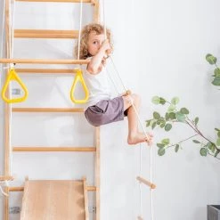 YJZQ Peuterspeelset Binnenspeeltuin Jungle Gym Set- Hout 6-in-1 Multifunctionele Klimrekken/muurbeugels/Ladderklimmer/ Glijbaan/schommel/optrekgedeelte/ Ringen-Rotsklimmen Voor Kinderen Draagvermogen 50kg -babygyms Winkel 550x550 72