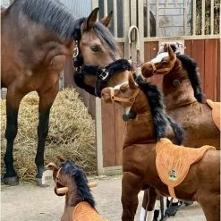 Animal Riding Paard Amadeus Bruin Medium / Large - Rijdend Paardenspeelgoed - Paardenspeelgoed - Speelgoed Vanaf 3 Jaar - Zadelhoogte 68 CM- Verstelbaar Pedaal 3 Standen - Afneembaar Zadel -babygyms Winkel 550x669 2