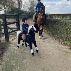 Animal Riding Paard Maharadscha Zwart X-Large - Rijdend Paardenspeelgoed - Paardenspeelgoed - Zadelhoogte 78 CM- Verstelbaar Pedaal 3 Standen - Afneembaar Zadel -babygyms Winkel 550x733 8